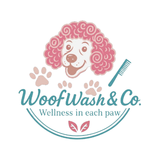 favicon logo entreprise